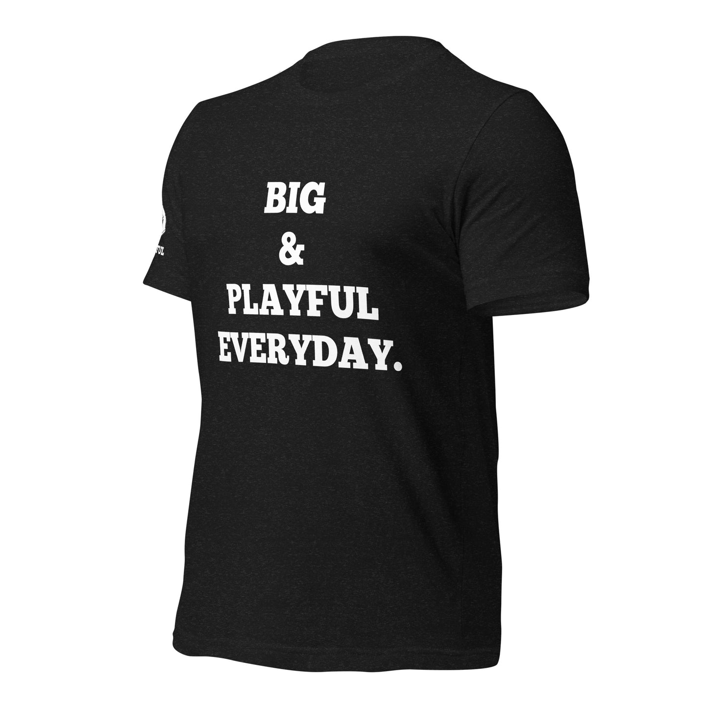 Big & Playful Everyday (Unisex) T-Shirt