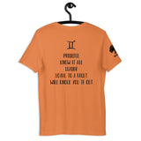 Playful Gemini (Unisex) Tee