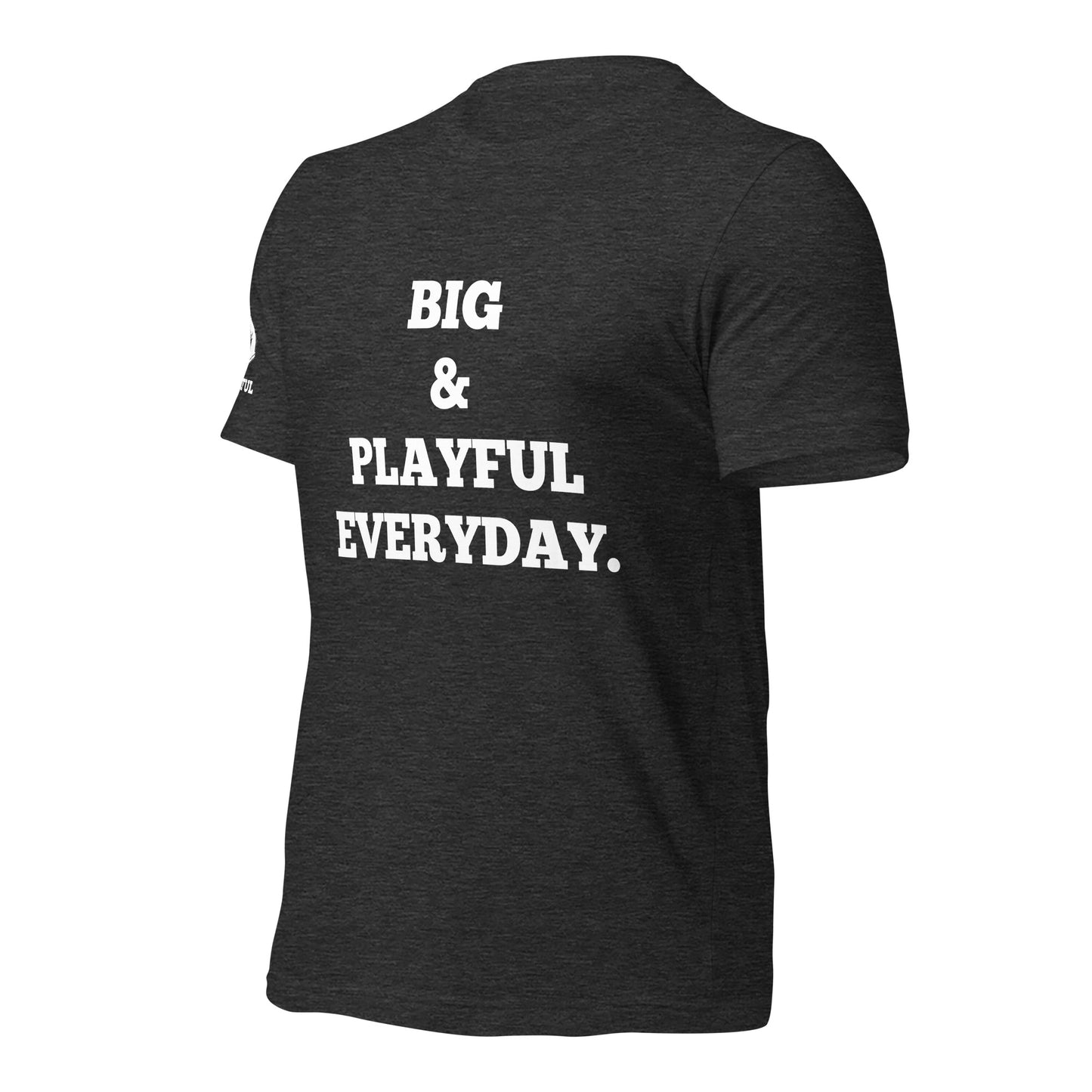 Big & Playful Everyday (Unisex) T-Shirt