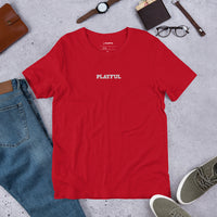 Playful Embroidered (Unisex) Tee