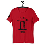 Playful Gemini (Unisex) Tee